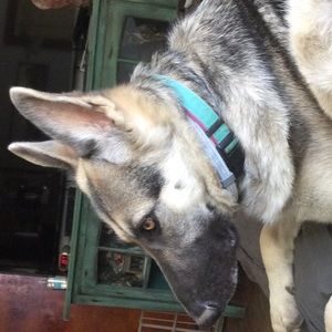 Meet your Posher, Nancy